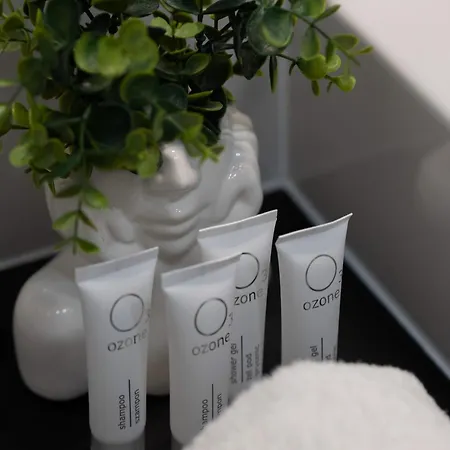 Elegant Ludwiki With Parking & Air Conditioning By Renters