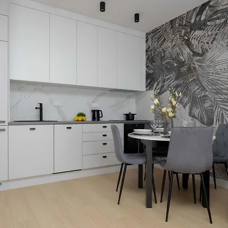 Elegant Ludwiki With Parking & Air Conditioning By Renters *